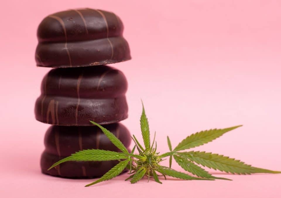 chocolate and cbd leaves