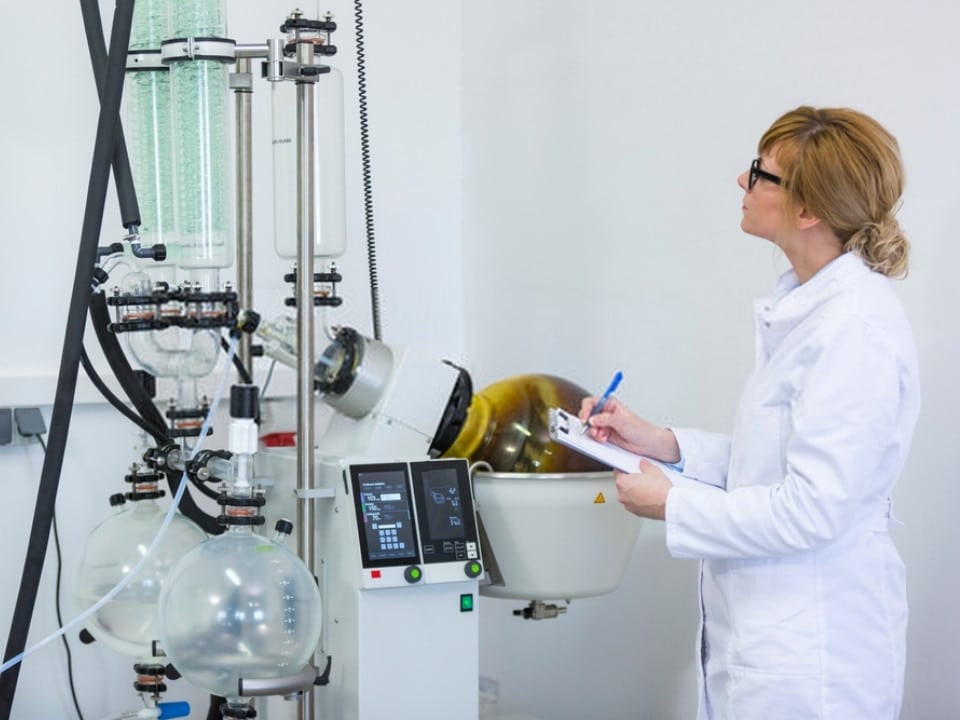 woman checking the quality of cbd oil extraction