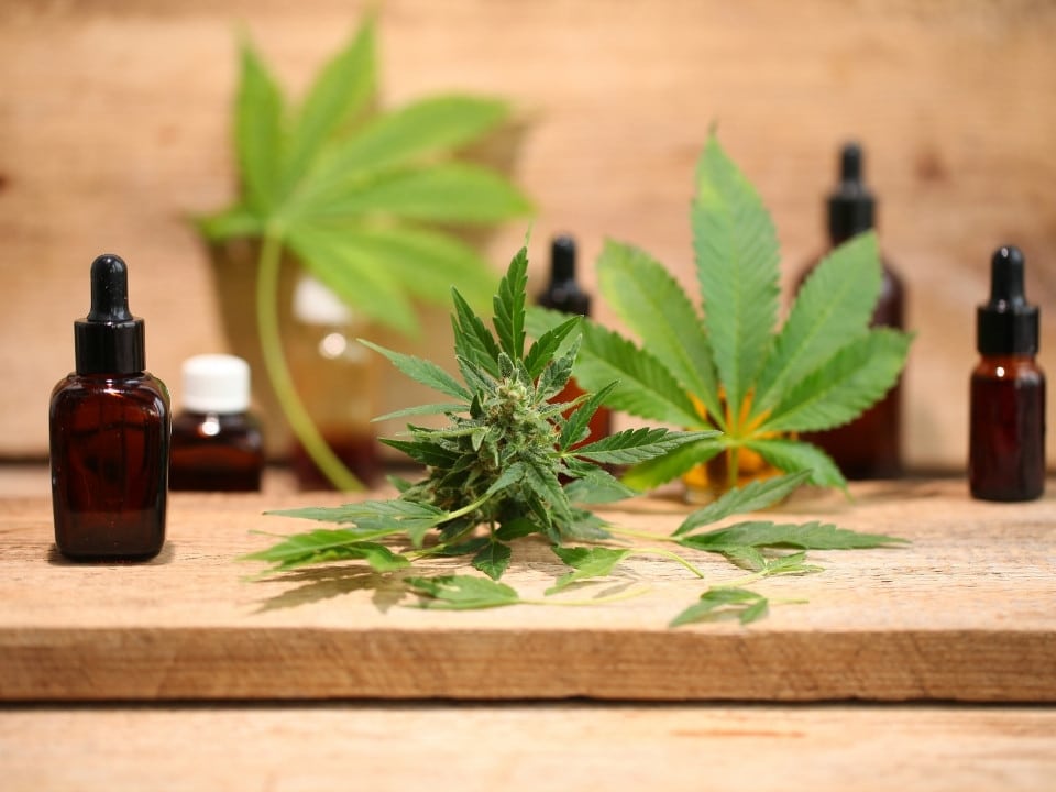 different cbd oil containers