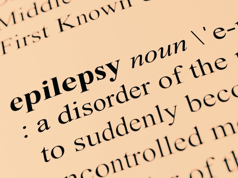 epilepsy definition in a dictionary