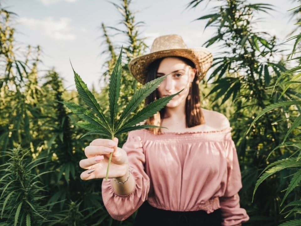 woman holding a hemp leaf in a farm