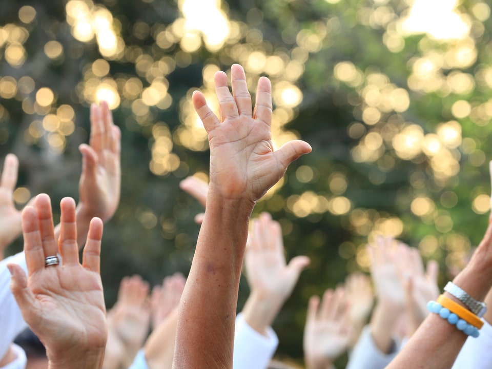 people raising their hand