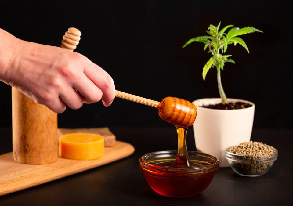 hand pulling a honey dipper from a cbd honey bowl