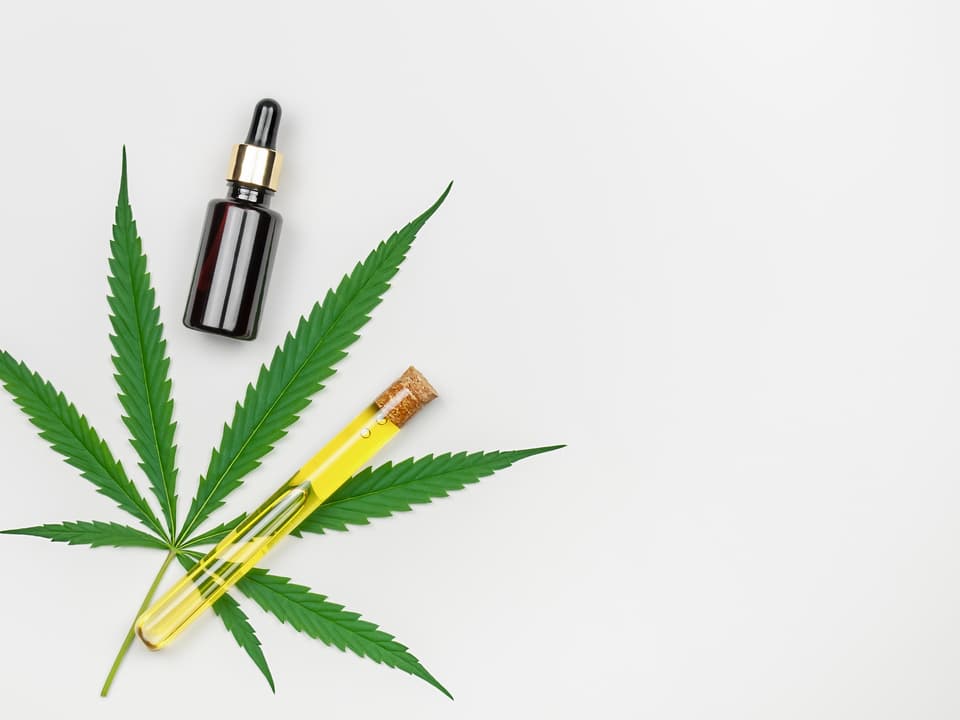 plant use for cbd a cbd tincture and a test tube filled with cbd oil