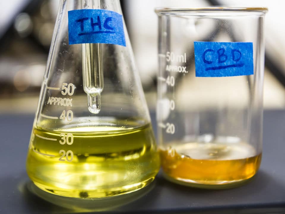lab containers with thc and cbd oil