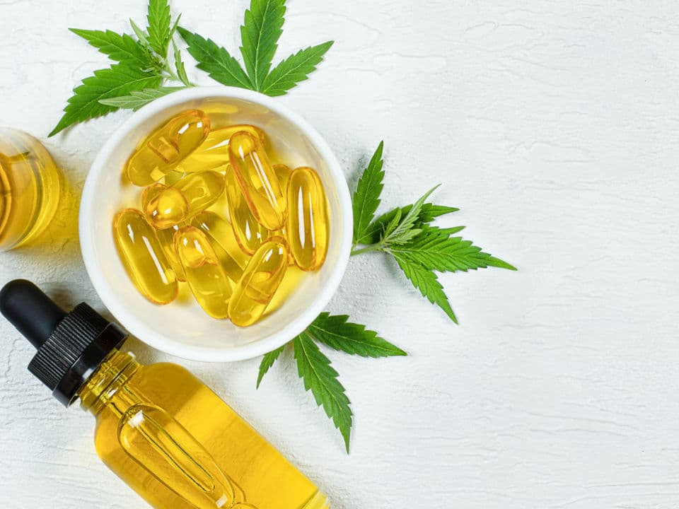 cbd capsules with cbd oil and hemp leaves on gray background