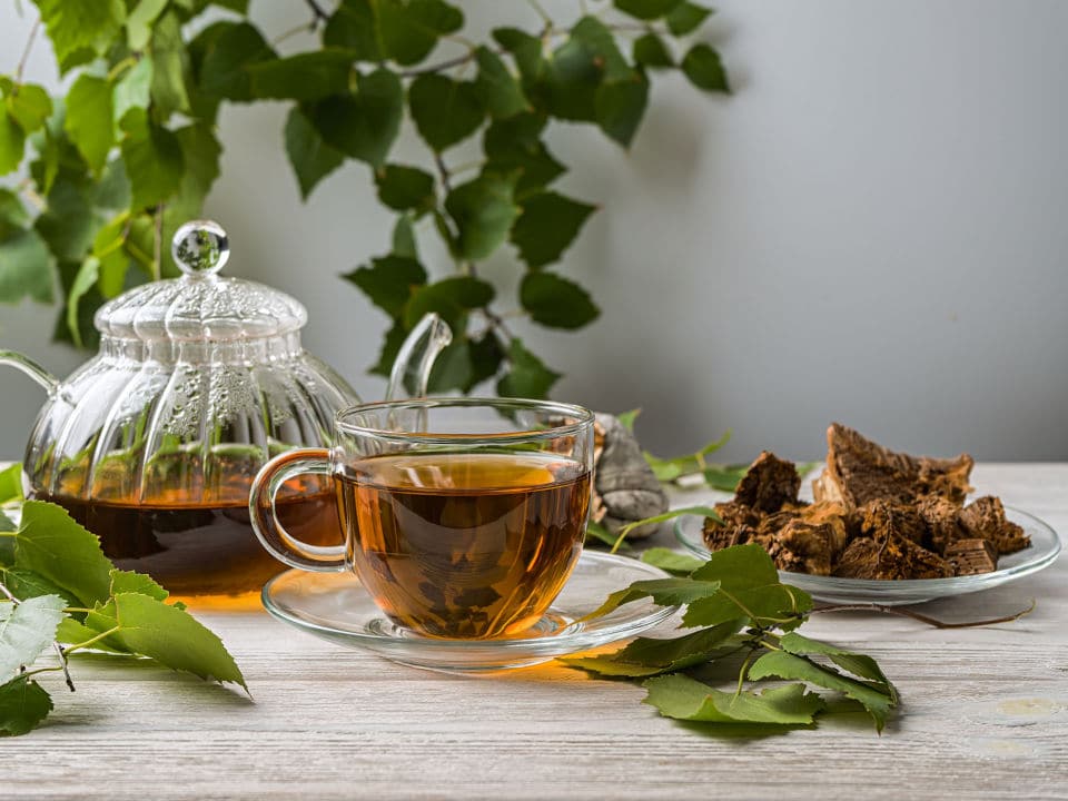chaga mushrooms in tea cup and edible chaga pieces on table