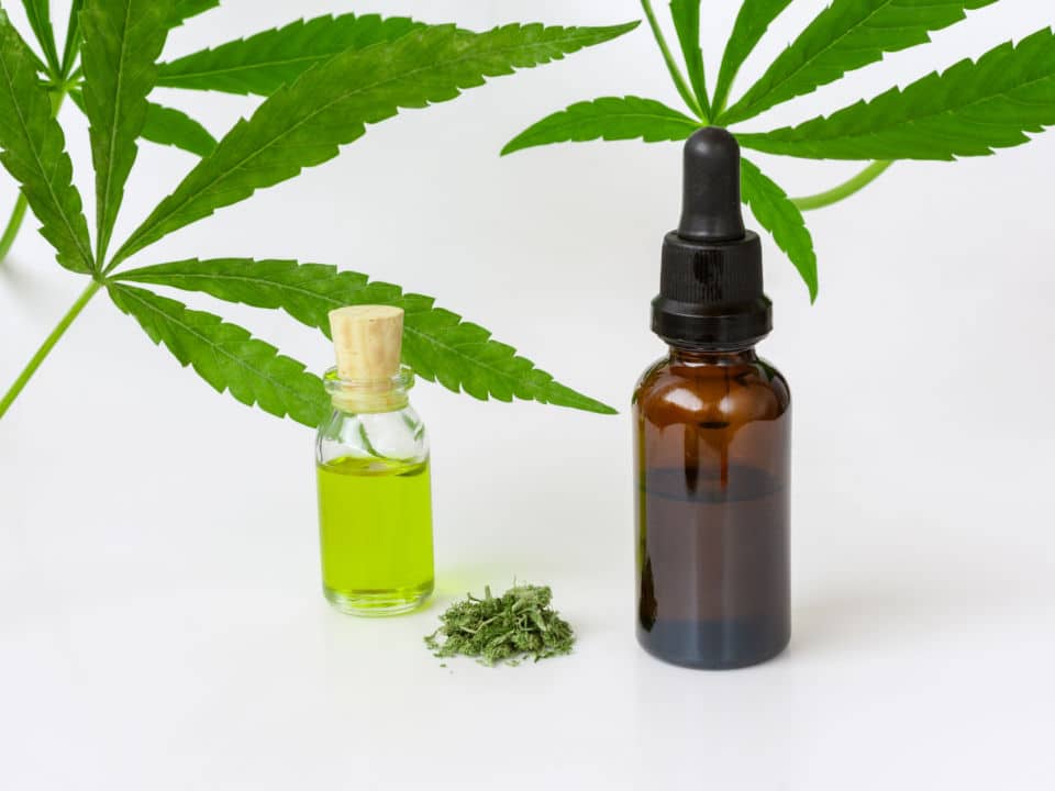 oil based cbd and water soluble cbd with cannabis leaves