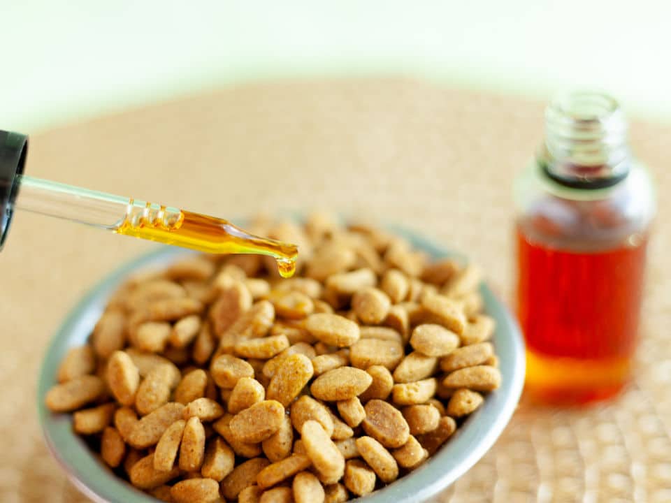 putting cbd oil in pet food