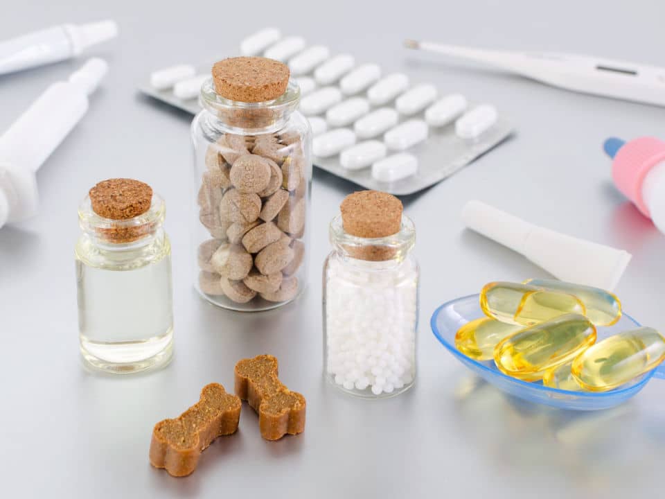 various cbd products for pets