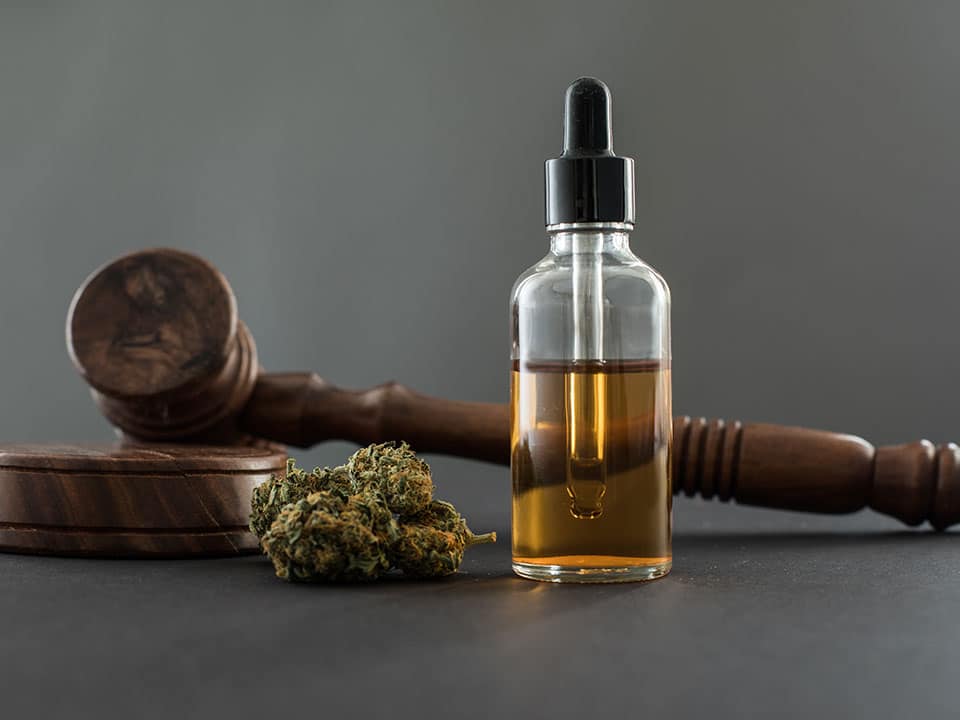 cbd oil in a bottle and judge gavel
